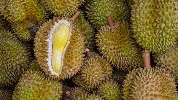 Are there carcinogens in durian