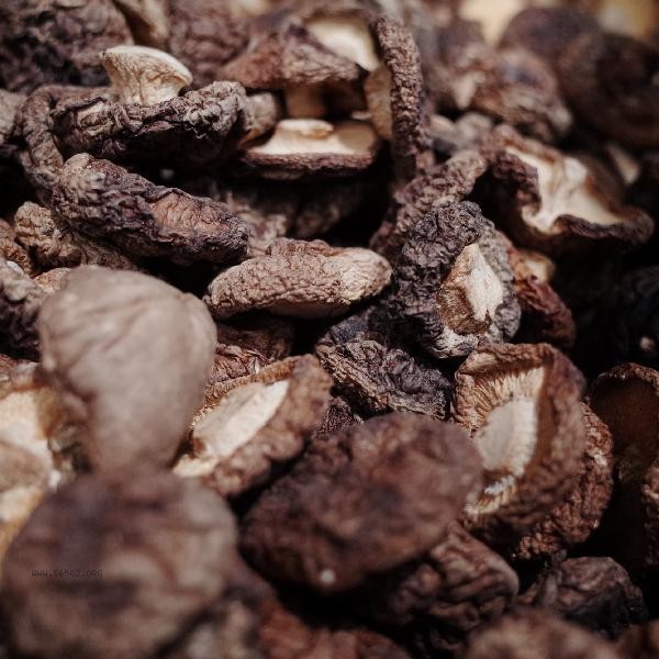 How to distinguish whether mushrooms are poisonous or not