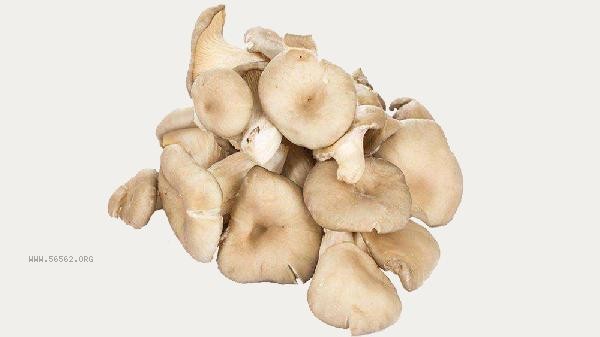 How do mushrooms know if they are poisonous