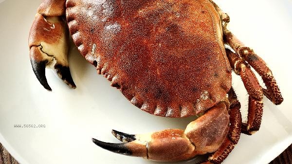 How to tie crabs with ropes