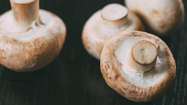 How to identify poisonous mushrooms