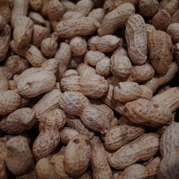 Is peanut paste harmful to the body