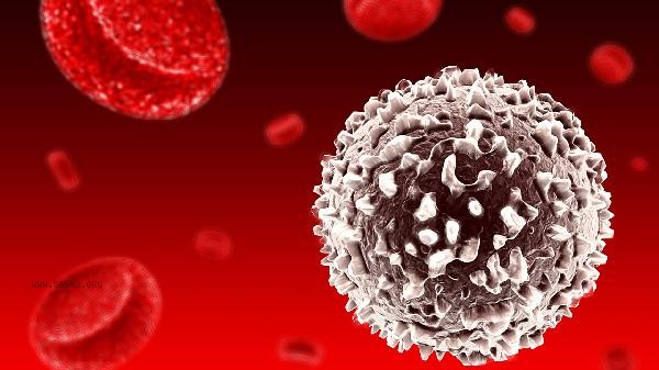 Does high white blood cell count require intravenous therapy?