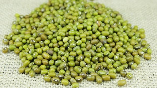 Can green beans be eaten after being cooked and infested with insects