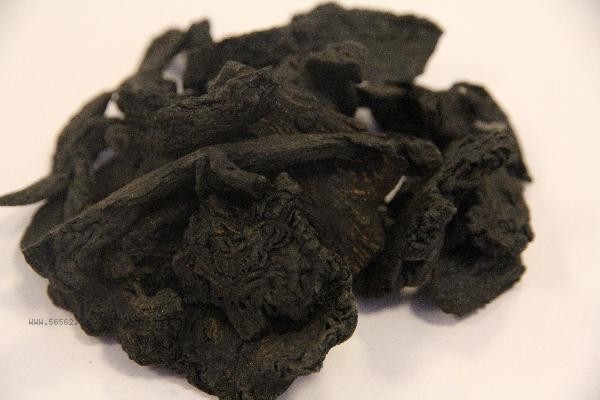 Traditional Chinese Medicine for the Treatment of Pancreatitis