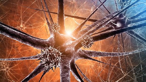 Is EB virus positive in physical examination nasopharyngeal carcinoma