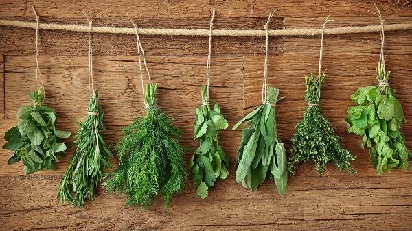 Can rapeseed and seaweed be eaten together