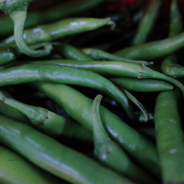 Should the food be hot or cold in the refrigerator