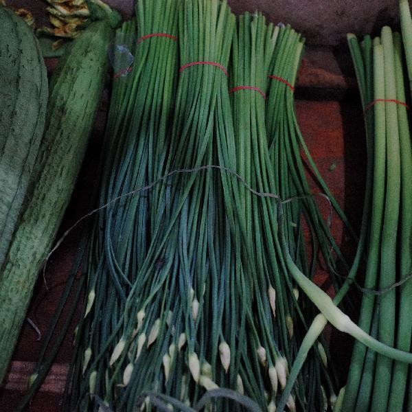 Should we put the food in the fridge while it's hot or cool