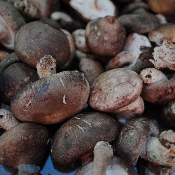 How to clean mushrooms quickly and thoroughly