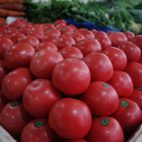Is tomato ripening agent toxic