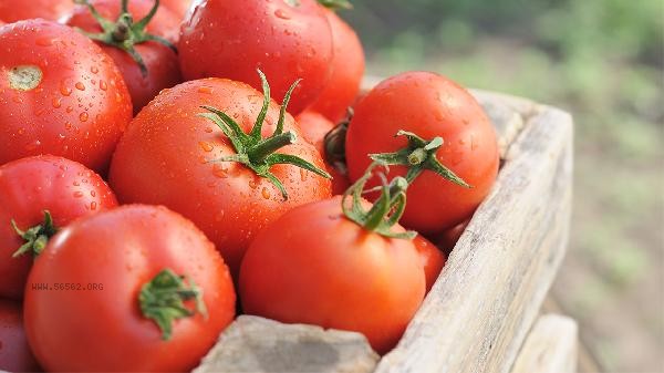 Can tomatoes with ripening agents be eaten