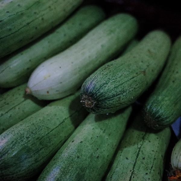 How many days can cucumbers be stored in the dormitory