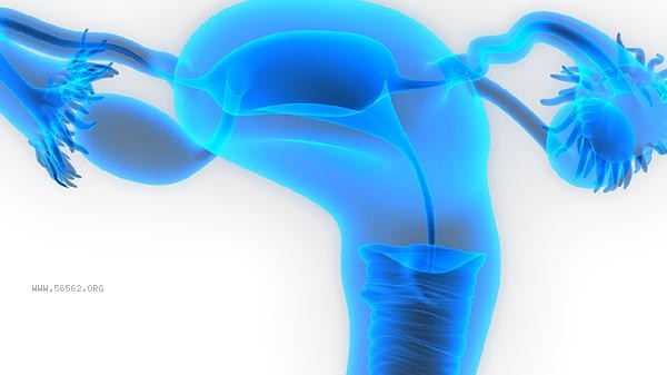 What are the dietary precautions for cervical cancer patients during radiotherapy