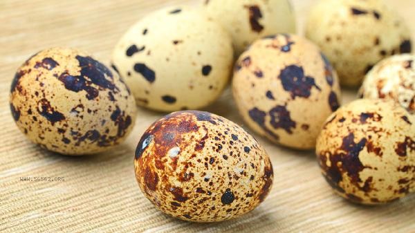 Can quail eggs be made into Tea egg